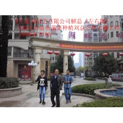 濰坊可信賴的蔬菜大棚建造公司，當屬千匯溫室——蔬菜大棚造價