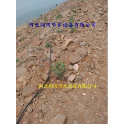 絳縣果樹(shù)滴灌PE管|小管出流、網(wǎng)式過(guò)濾器|配套促銷(xiāo)