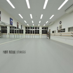 PVC舞蹈專(zhuān)用地膠，PVC專(zhuān)業(yè)舞蹈地膠