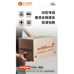 廣州到印尼泗水直航海運多少錢？**印尼雙清到門專線